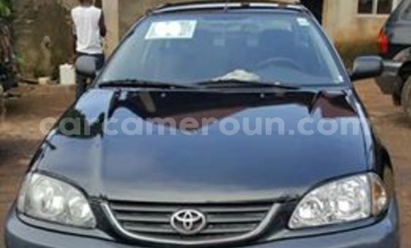 Buy Used Toyota Avensis Black Car in Yaounde in Central Cameroon Buy Used Toyota Avensis Black Car in Yaounde in Central Cameroon