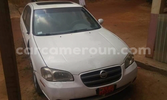 Acheter Occasion Voiture Nissan Maxima Blanc à Yaoundé, Central Cameroon Acheter Occasion Voiture Nissan Maxima Blanc à Yaoundé, Central Cameroon