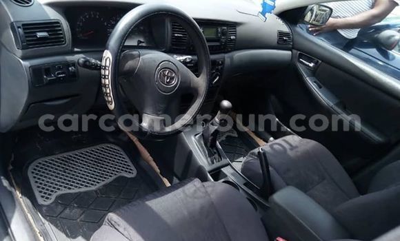 Acheter Occasion Voiture Toyota Runx Bleu à Douala, Littoral Cameroon Acheter Occasion Voiture Toyota Runx Bleu à Douala, Littoral Cameroon