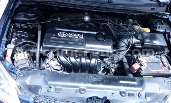 Acheter Occasion Voiture Toyota Runx Bleu à Douala, Littoral Cameroon Acheter Occasion Voiture Toyota Runx Bleu à Douala, Littoral Cameroon