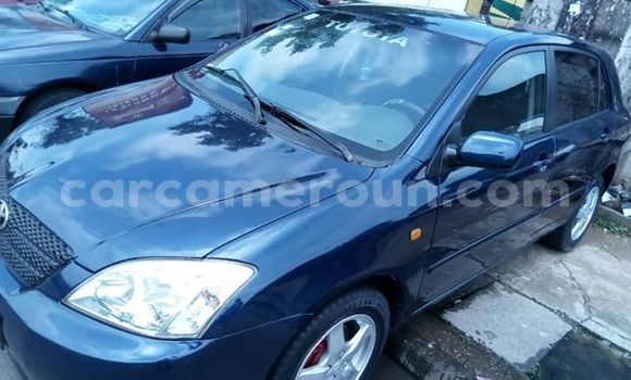 Acheter Occasion Voiture Toyota Runx Bleu à Douala, Littoral Cameroon Acheter Occasion Voiture Toyota Runx Bleu à Douala, Littoral Cameroon