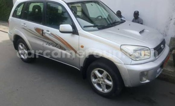 Buy Used Toyota RAV4 Silver Car in Douala in Littoral Cameroon Buy Used Toyota RAV4 Silver Car in Douala in Littoral Cameroon
