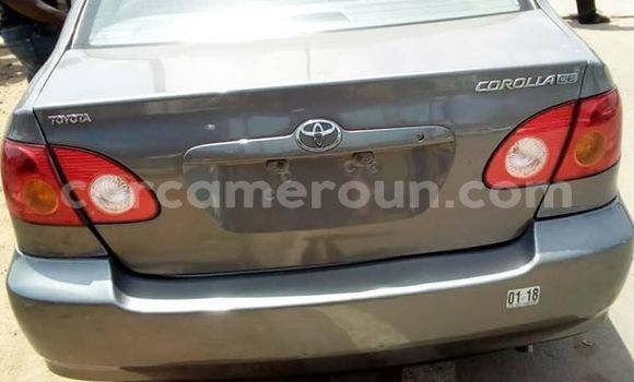 Buy Used Toyota Corolla Other Car in Douala in Littoral Cameroon Buy Used Toyota Corolla Other Car in Douala in Littoral Cameroon