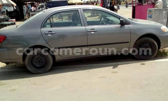 Buy Used Toyota Corolla Other Car in Douala in Littoral Cameroon Buy Used Toyota Corolla Other Car in Douala in Littoral Cameroon