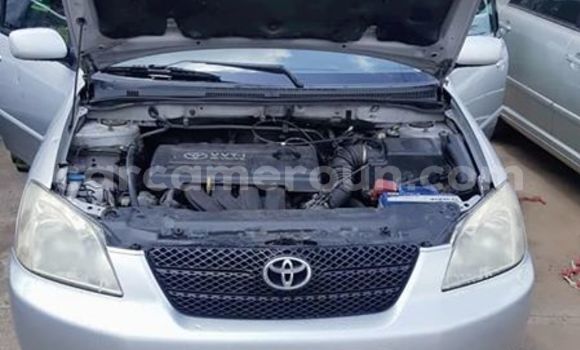 Sayi Na hannu Toyota Corolla Azurfa Mota in Douala a Ƙasar Kamaru Sayi Na hannu Toyota Corolla Azurfa Mota in Douala a Ƙasar Kamaru