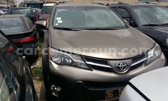 Sayi Na hannu Toyota RAV4 Brown Mota in Douala a Ƙasar Kamaru Sayi Na hannu Toyota RAV4 Brown Mota in Douala a Ƙasar Kamaru