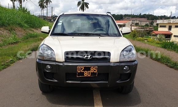 Buy Import Hyundai Tucson White Car in Yaounde in Central Cameroon Buy Import Hyundai Tucson White Car in Yaounde in Central Cameroon