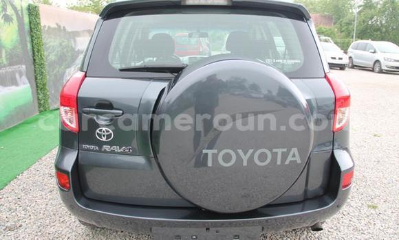 Sayi Na hannu Toyota RAV4 Sauran Mota in Yaounde a Babban Kamaru Sayi Na hannu Toyota RAV4 Sauran Mota in Yaounde a Babban Kamaru