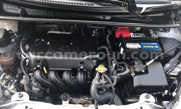 Buy Used Toyota Yaris Blue Car in Yaounde in Central Cameroon Buy Used Toyota Yaris Blue Car in Yaounde in Central Cameroon