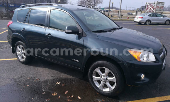 Buy Used Toyota RAV4 Black Car in Yaounde in Central Cameroon Buy Used Toyota RAV4 Black Car in Yaounde in Central Cameroon