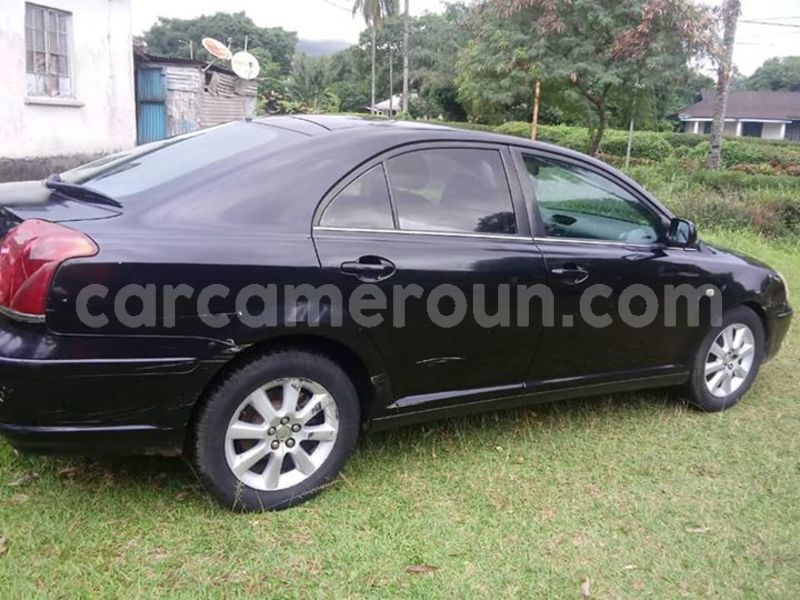 Big with watermark 61950642 697332970701828 7999653206168698880 n