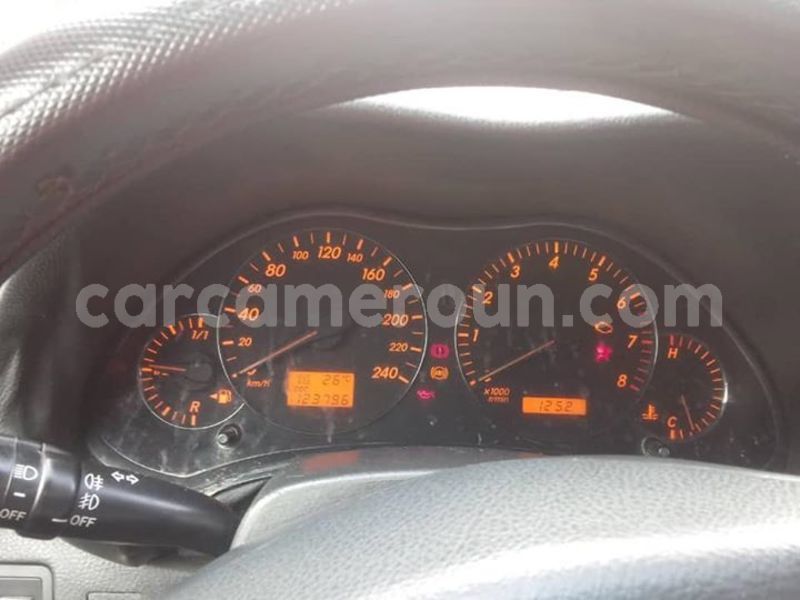 Big with watermark 61768614 697332890701836 2161197667554689024 n