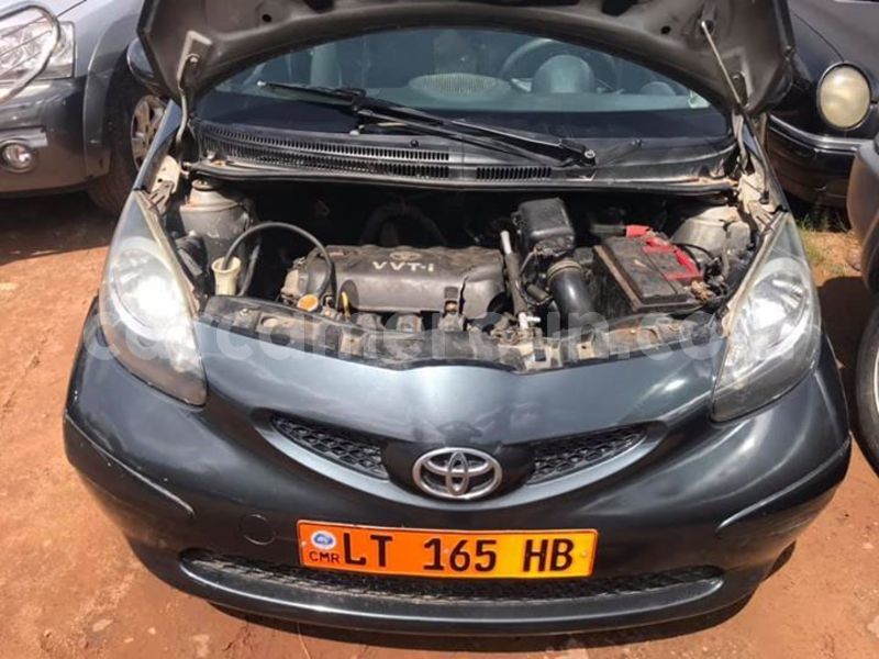 Big with watermark 61510872 2934563223250959 1745263770365591552 n