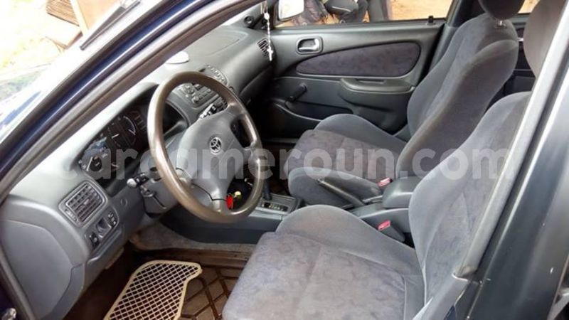 Big with watermark 56811453 2812067738833842 7576624731676213248 n