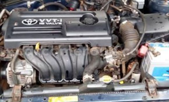 Acheter Occasion Voiture Toyota Corolla Bleu à Yaoundé, Central Cameroon Acheter Occasion Voiture Toyota Corolla Bleu à Yaoundé, Central Cameroon