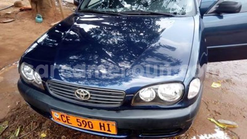 Big with watermark 56786157 2812067602167189 5152991080433582080 n