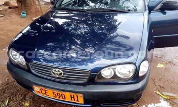 Acheter Occasion Voiture Toyota Corolla Bleu à Yaoundé, Central Cameroon Acheter Occasion Voiture Toyota Corolla Bleu à Yaoundé, Central Cameroon