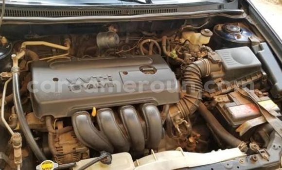 Acheter Occasion Voiture Toyota Corolla Bleu à Yaoundé, Central Cameroon Acheter Occasion Voiture Toyota Corolla Bleu à Yaoundé, Central Cameroon