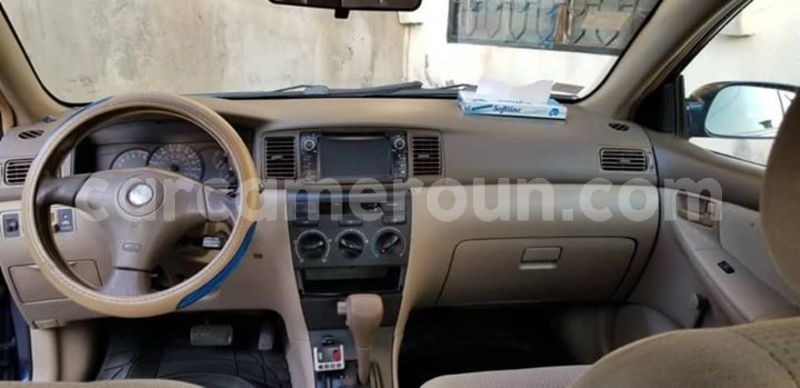 Big with watermark 57155175 2812046925502590 1923611930849705984 n