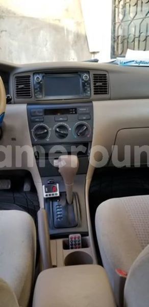 Big with watermark 56384159 2812046842169265 7609794106973224960 n