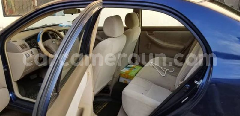 Big with watermark 57009207 2812046822169267 8145615681153400832 n