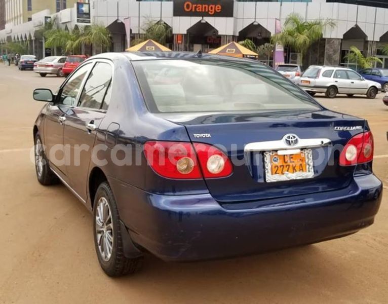 Big with watermark 56502830 2812046772169272 2178220577158856704 n