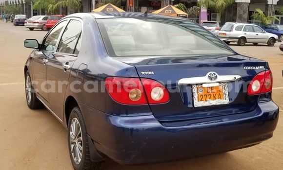 Acheter Occasion Voiture Toyota Corolla Bleu à Yaoundé, Central Cameroon Acheter Occasion Voiture Toyota Corolla Bleu à Yaoundé, Central Cameroon
