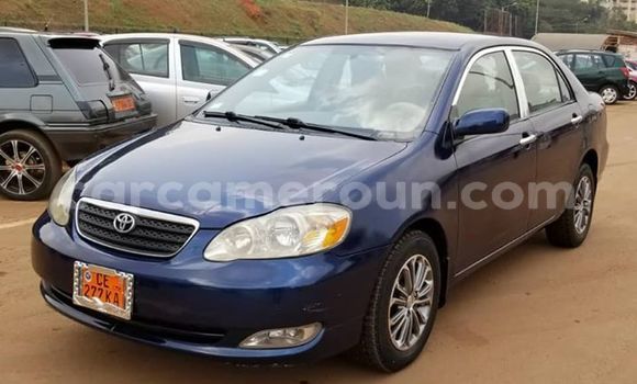 Acheter Occasion Voiture Toyota Corolla Bleu à Yaoundé, Central Cameroon Acheter Occasion Voiture Toyota Corolla Bleu à Yaoundé, Central Cameroon