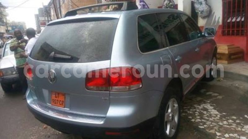 Big with watermark 62366512 1021111871427560 1427490732251283456 n