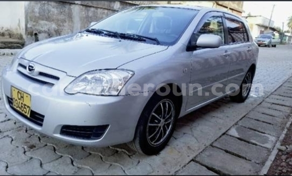 Buy Import Toyota Runx Silver Car in Douala in Littoral Cameroon Buy Import Toyota Runx Silver Car in Douala in Littoral Cameroon