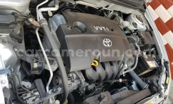 Buy Import Toyota Runx Silver Car in Douala in Littoral Cameroon Buy Import Toyota Runx Silver Car in Douala in Littoral Cameroon