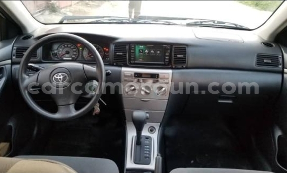 Buy Import Toyota Runx Silver Car in Douala in Littoral Cameroon Buy Import Toyota Runx Silver Car in Douala in Littoral Cameroon