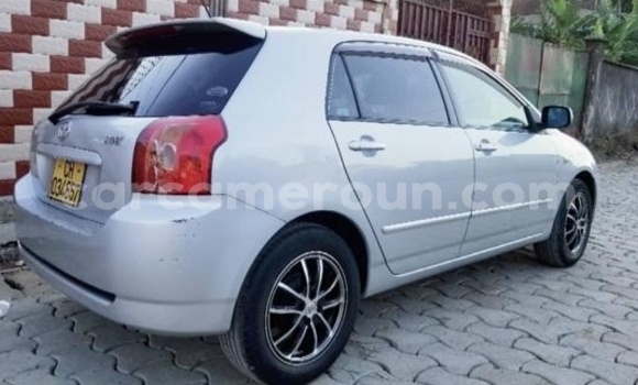 Buy Import Toyota Runx Silver Car in Douala in Littoral Cameroon Buy Import Toyota Runx Silver Car in Douala in Littoral Cameroon