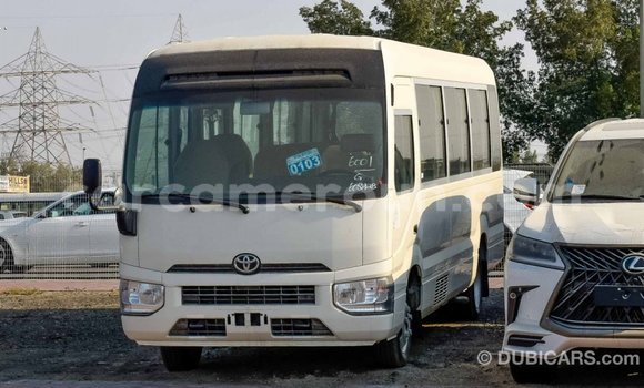 Acheter Import Voiture Toyota Coaster Blanc à Import - Dubai, Adamawa Acheter Import Voiture Toyota Coaster Blanc à Import - Dubai, Adamawa