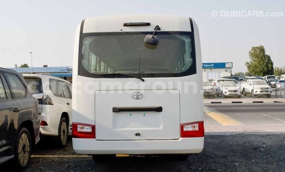 Acheter Import Voiture Toyota Coaster Blanc à Import - Dubai, Adamawa Acheter Import Voiture Toyota Coaster Blanc à Import - Dubai, Adamawa