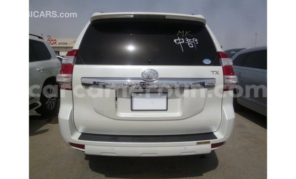Acheter Import Voiture Toyota Prado Blanc à Import - Dubai, Adamawa Acheter Import Voiture Toyota Prado Blanc à Import - Dubai, Adamawa