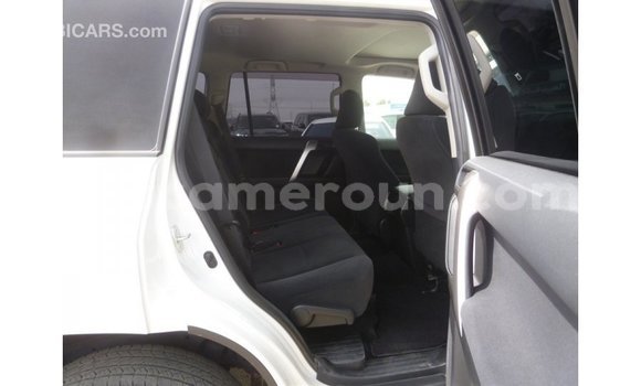 Acheter Import Voiture Toyota Prado Blanc à Import - Dubai, Adamawa Acheter Import Voiture Toyota Prado Blanc à Import - Dubai, Adamawa