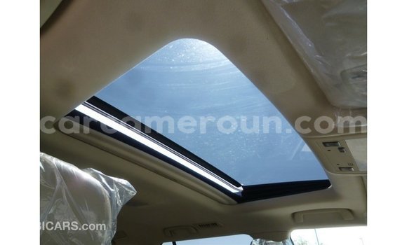 Acheter Import Voiture Toyota Land Cruiser Blanc à Import - Dubai, Adamawa Acheter Import Voiture Toyota Land Cruiser Blanc à Import - Dubai, Adamawa