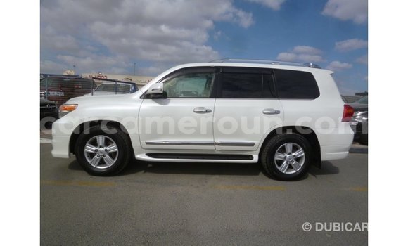 Acheter Import Voiture Toyota Land Cruiser Blanc à Import - Dubai, Adamawa Acheter Import Voiture Toyota Land Cruiser Blanc à Import - Dubai, Adamawa