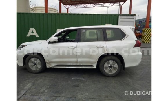 Sayi Imported Lexus LX White Mota in Import - Dubai a Adamawa Sayi Imported Lexus LX White Mota in Import - Dubai a Adamawa
