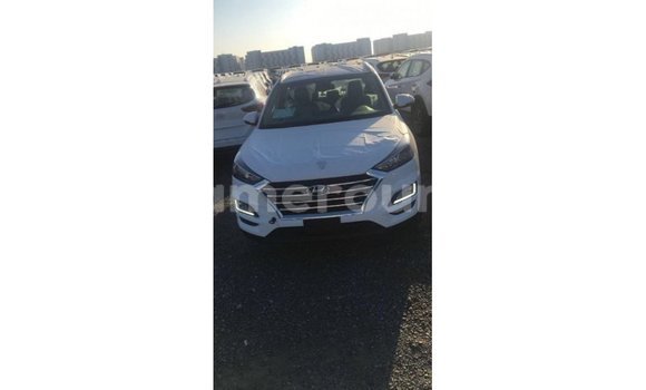 Sayi Imported Hyundai Tucson White Mota in Import - Dubai a Adamawa Sayi Imported Hyundai Tucson White Mota in Import - Dubai a Adamawa