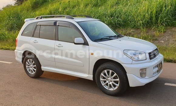 Buy Import Toyota RAV4 White Car in Yaounde in Central Cameroon Buy Import Toyota RAV4 White Car in Yaounde in Central Cameroon
