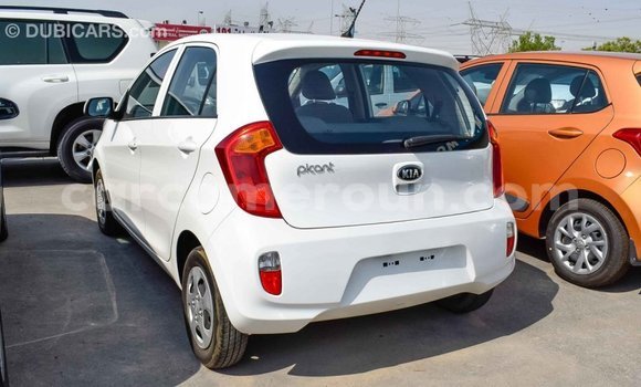 Acheter Import Voiture Kia Picanto Blanc à Import - Dubai, Adamawa Acheter Import Voiture Kia Picanto Blanc à Import - Dubai, Adamawa