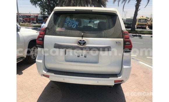 Acheter Import Voiture Toyota Prado Blanc à Import - Dubai, Adamawa Acheter Import Voiture Toyota Prado Blanc à Import - Dubai, Adamawa