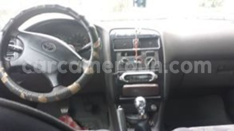 Big with watermark 66082677 2498756880168412 3818385265135714304 n