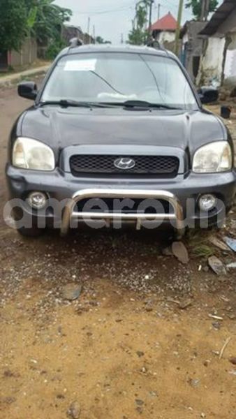 Big with watermark 66217664 1044495702422510 2905339182954053632 n