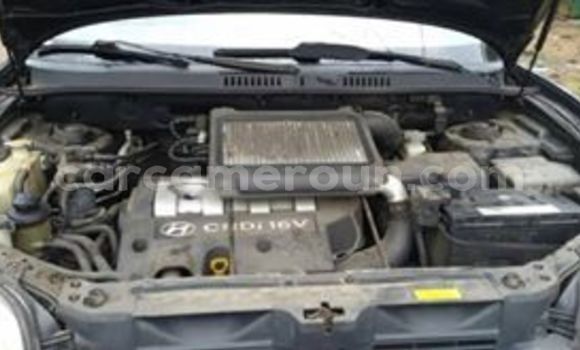 Acheter Occasion Voiture Hyundai Santa Fe Noir à Douala, Littoral Cameroon Acheter Occasion Voiture Hyundai Santa Fe Noir à Douala, Littoral Cameroon