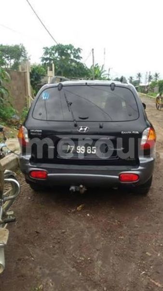 Big with watermark 66712686 1044495745755839 6526005310790828032 n