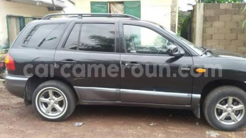 Big with watermark 66150662 1044495682422512 7496286509411074048 n