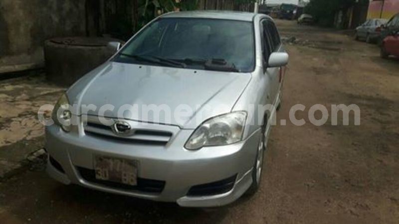 Big with watermark 65957993 1042133095992104 5199980844445335552 n